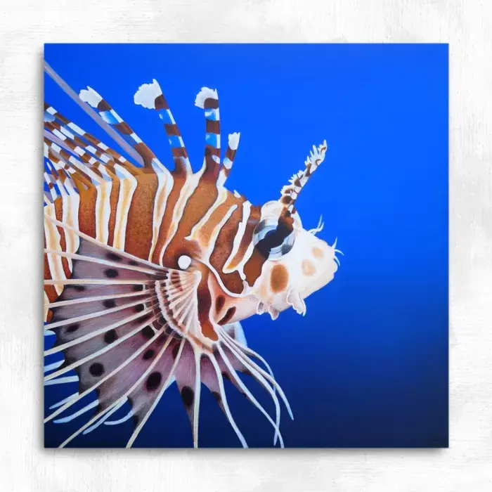 Tableau poisson exotique rascasse volante liberte peinture acrylique 40x40 cm aline belliard 700x700